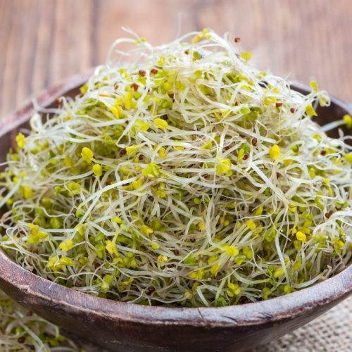 Sprouts â Natures Cue